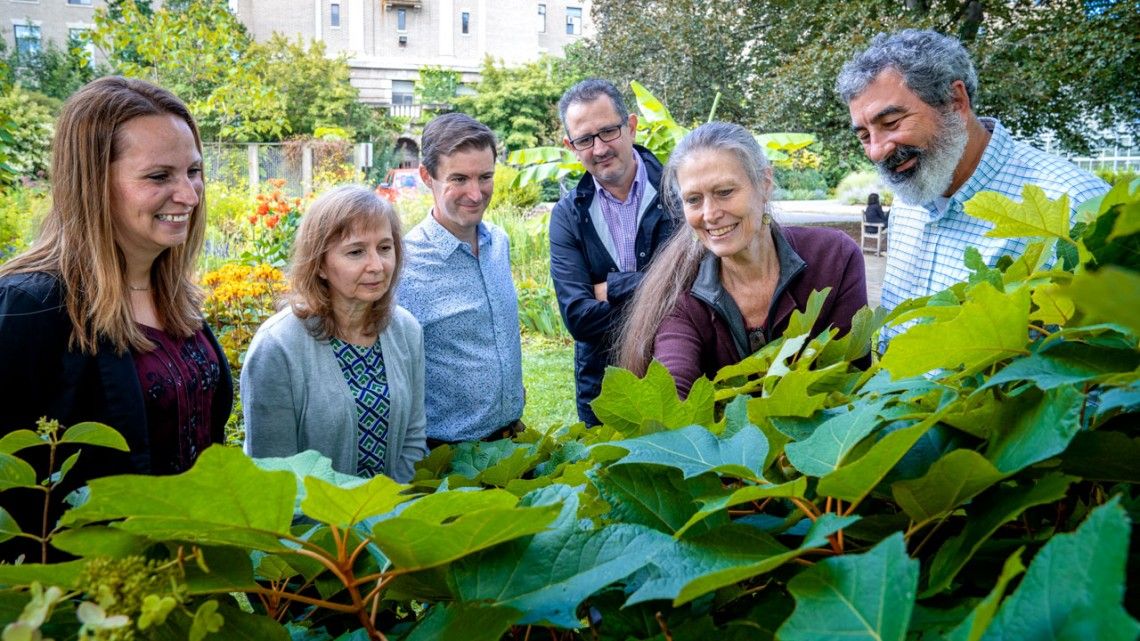 group gathered looking at plants