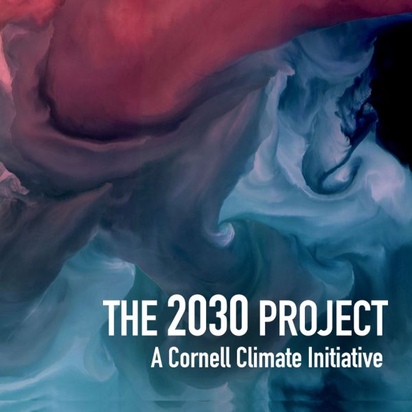 Cornell 2030 Project