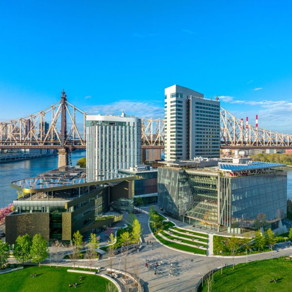 A color photo showing the Cornell Tech campus