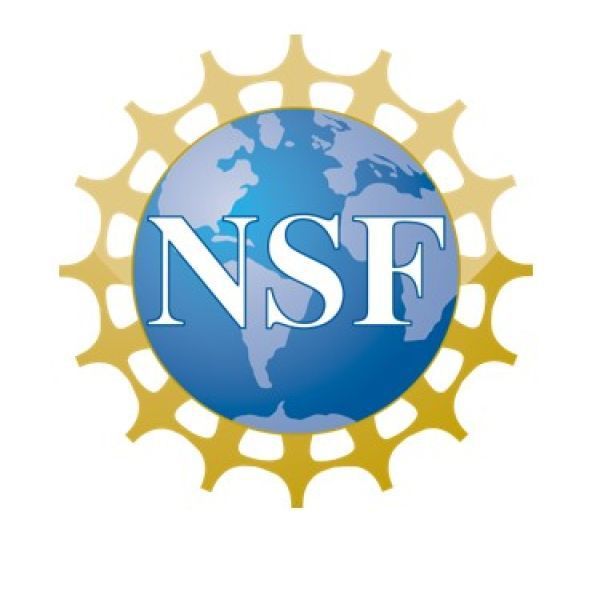 A color logo with the letters "NSF"