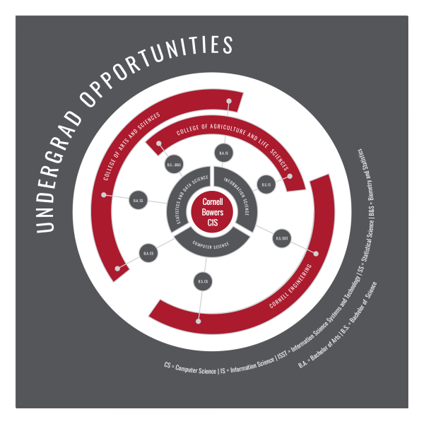 Undergraduate opportunities available at Cornell Bowers CIS A graphic outlining the undergrad opportunities available at Cornell Bowers CIS