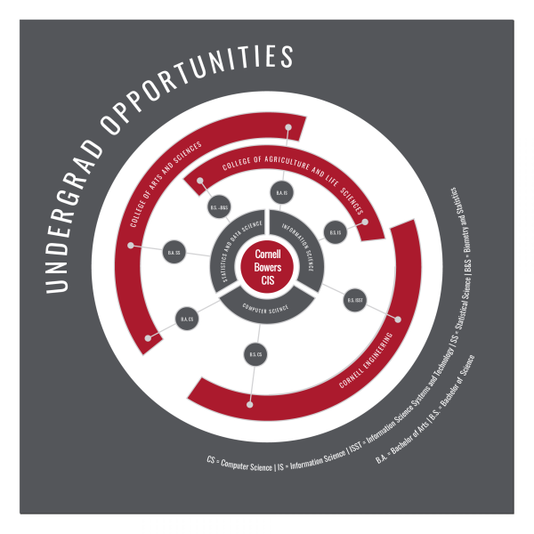 A graphic outlining the undergrad opportunities available at Cornell Bowers CIS