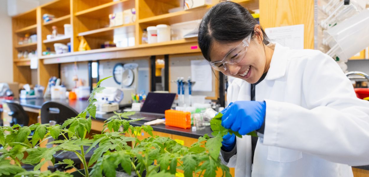 A color photo showing a woman working with plants in a lab