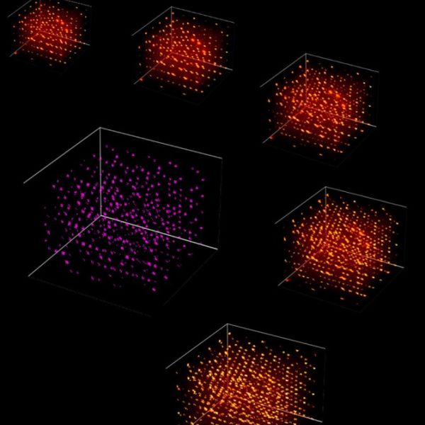 Harnessing machine learning to analyze quantum material