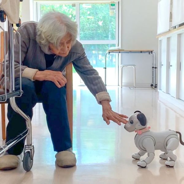 Photo provided: A woman greets a donated Sony aibo social robot at a senior care facility in Japan’s Hokkaido region.