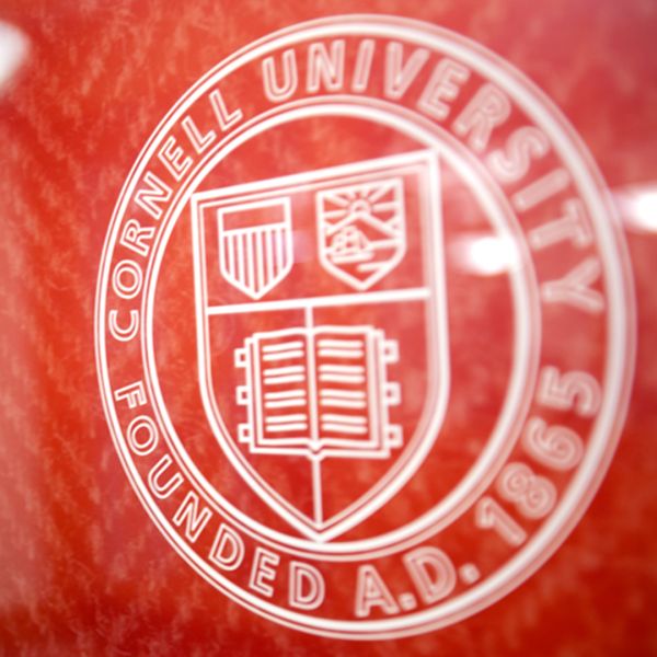 The Cornell University seal on glass